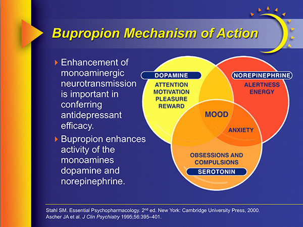 Buporpion Promotional Presentation | Medical Meeting PPT Slides
